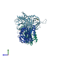 PDB entry 2hi9 coloured by chain, side view.