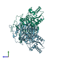 PDB entry 2hig coloured by chain, side view.