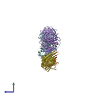PDB entry 2hii coloured by chain, side view.