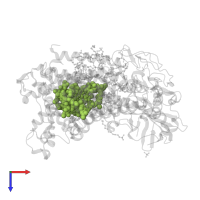 BACTERIOCHLOROPHYLL A in PDB entry 2hit, assembly 1, top view.