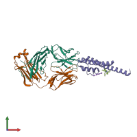 PDB entry 2hjf coloured by chain, front view.