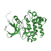 The deposited structure of PDB entry 2hk5 contains 1 copy of Pfam domain PF07714 (Protein tyrosine and serine/threonine kinase) in Tyrosine-protein kinase HCK. Showing 1 copy in chain A.