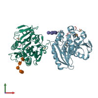 PDB entry 2hl6 coloured by chain, front view.