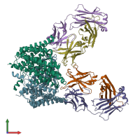 PDB entry 2hlf coloured by chain, front view.