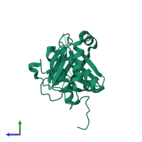 PDB entry 2hly coloured by chain, side view.