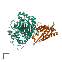 PDB entry 2hmj coloured by chain, top view.