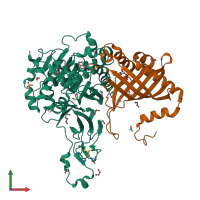 3D model of 2hml from PDBe