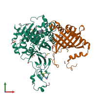 PDB entry 2hmo coloured by chain, front view.