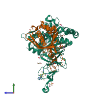 PDB entry 2hmo coloured by chain, side view.