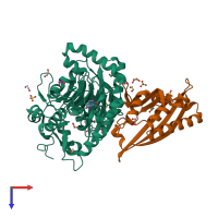 PDB entry 2hmo coloured by chain, top view.