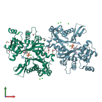 PDB entry 2hmp coloured by chain, front view.