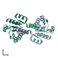 PDB entry 2hmw coloured by chain, front view.
