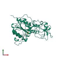 PDB entry 2hmy coloured by chain, front view.