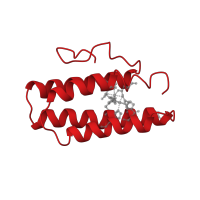 The deposited structure of PDB entry 2hmz contains 4 copies of CATH domain 1.20.120.50 (Four Helix Bundle (Hemerythrin (Met), subunit A)) in Hemerythrin. Showing 1 copy in chain A.