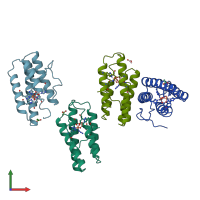 PDB entry 2hmz coloured by chain, front view.