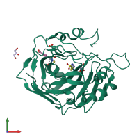 PDB entry 2hnc coloured by chain, front view.