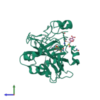 PDB entry 2hnc coloured by chain, side view.