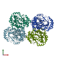 PDB entry 2hne coloured by chain, front view.