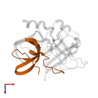 Thrombin heavy chain in PDB entry 2hnt, assembly 1, top view.