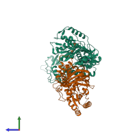 Hetero dimeric assembly 1 of PDB entry 2hny coloured by chemically distinct molecules, side view.
