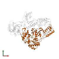 p51 RT in PDB entry 2hny, assembly 1, front view.