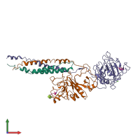 Hetero pentameric assembly 3 of PDB entry 2hod coloured by chemically distinct molecules, front view.