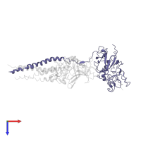 Fibrinogen gamma chain in PDB entry 2hod, assembly 1, top view.