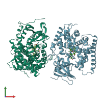 PDB entry 2hpd coloured by chain, front view.