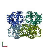 PDB entry 2hpg coloured by chain, front view.