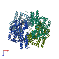 PDB entry 2hpg coloured by chain, top view.