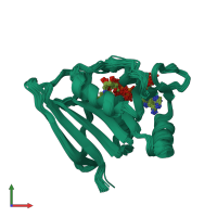 PDB entry 2hqp coloured by chain, ensemble of 32 models, front view.