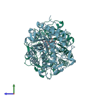 PDB entry 2hsa coloured by chain, side view.