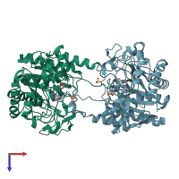 PDB entry 2hsa coloured by chain, top view.