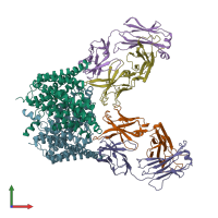 PDB entry 2ht3 coloured by chain, front view.