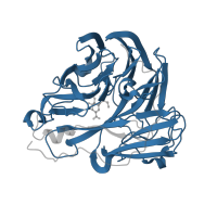 The deposited structure of PDB entry 2ht7 contains 1 copy of Pfam domain PF00064 (Neuraminidase) in Neuraminidase. Showing 1 copy in chain A.