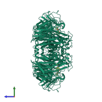 Homo tetrameric assembly 1 of PDB entry 2ht8 coloured by chemically distinct molecules, side view.