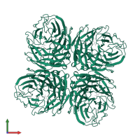 Neuraminidase in PDB entry 2ht8, assembly 1, front view.