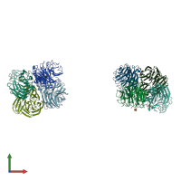 PDB entry 2hty coloured by chain, front view.