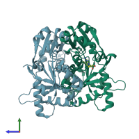 PDB entry 2hux coloured by chain, side view.