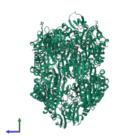 Homo hexameric assembly 1 of PDB entry 2hv2 coloured by chemically distinct molecules, side view.