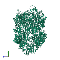 N-acetyltransferase domain-containing protein in PDB entry 2hv2, assembly 1, side view.