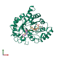 PDB entry 2hv5 coloured by chain, front view.