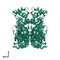 Nucleoside diphosphate kinase A in PDB entry 2hvd, assembly 1, side view.