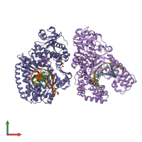 PDB entry 2hvi coloured by chain, front view.