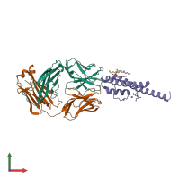 PDB entry 2hvj coloured by chain, front view.
