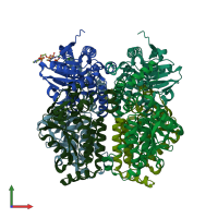 PDB entry 2hw5 coloured by chain, front view.