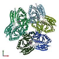 PDB entry 2hwu coloured by chain, front view.