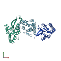 PDB entry 2hww coloured by chain, front view.