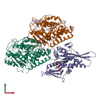 PDB entry 2hxf coloured by chain, front view.