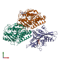 PDB entry 2hxh coloured by chain, front view.